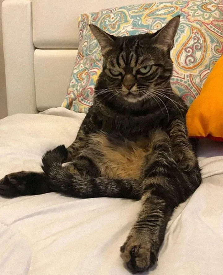 Extra image from article