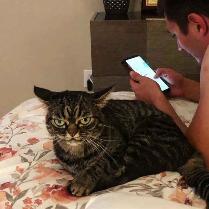 Extra image from article