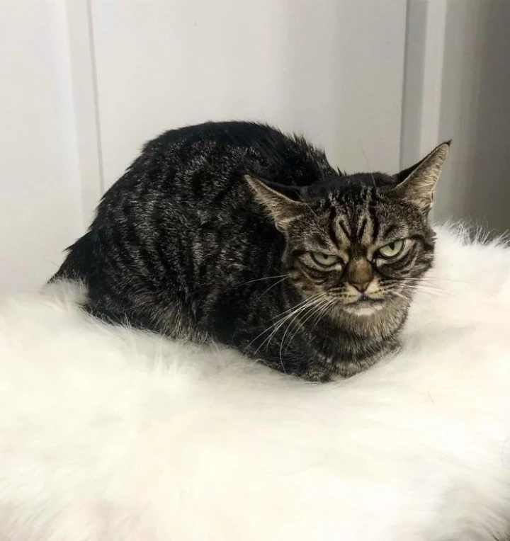 Extra image from article