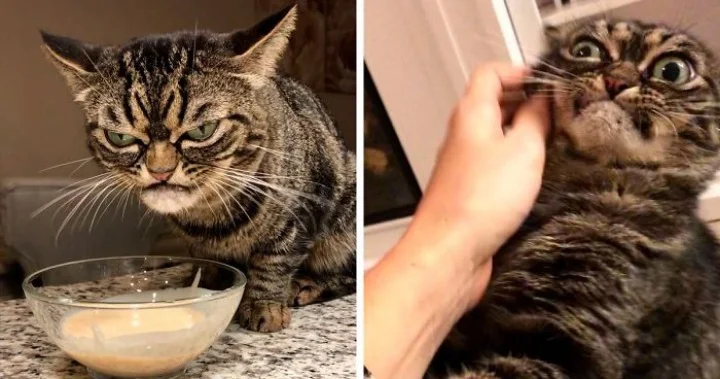 Residing in Florida, Kitzia shares her h...