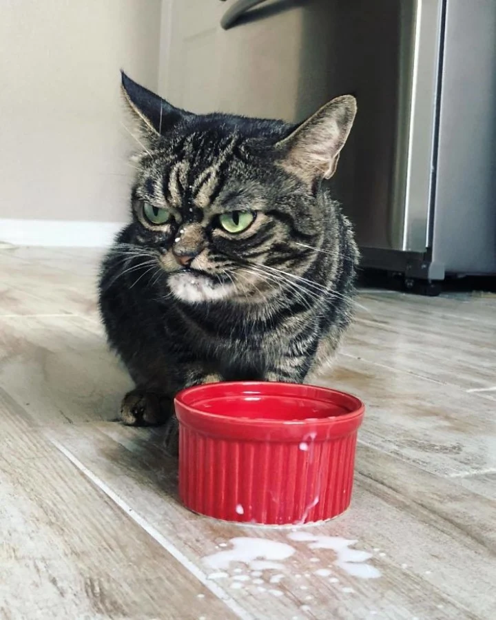 Extra image from article