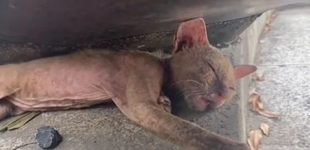 What surprised me most was her demeanor;...