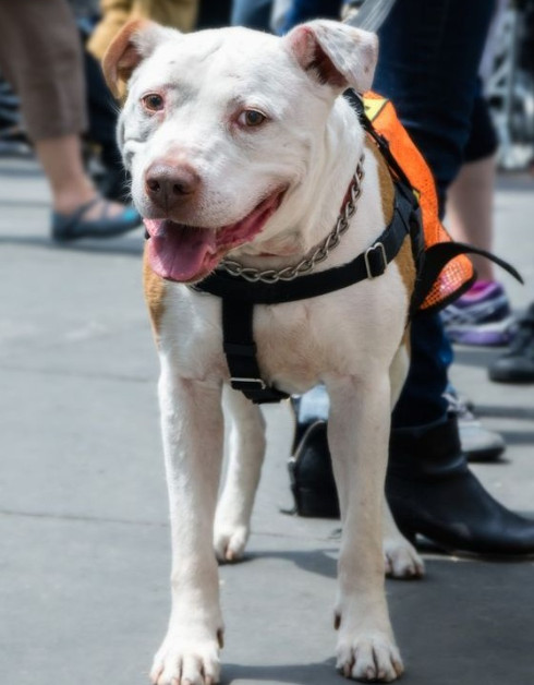 Extra image from article