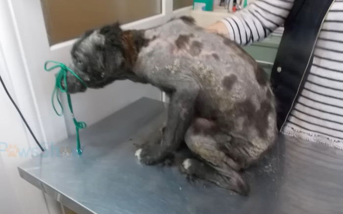 Once at the shelter, surrounded by peopl...