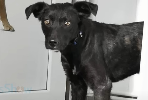 Extra image from article