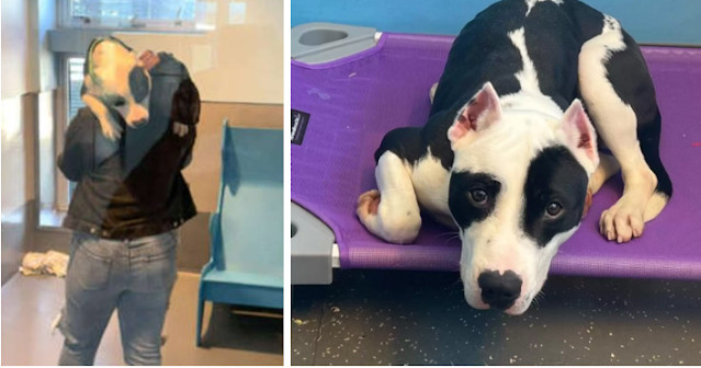 As time went on, Kao slowly adjusted to ...