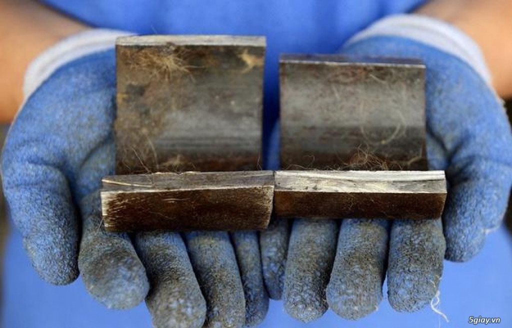 Extra image from article