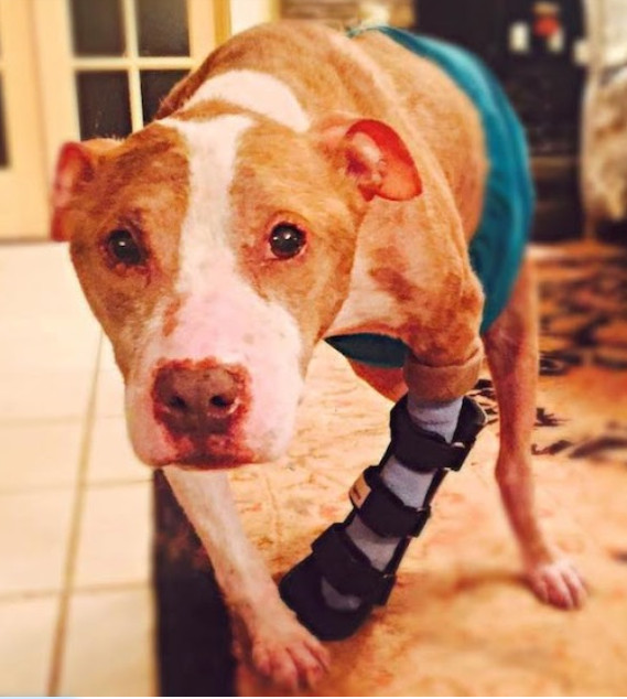 Rudy's story took another positive turn ...