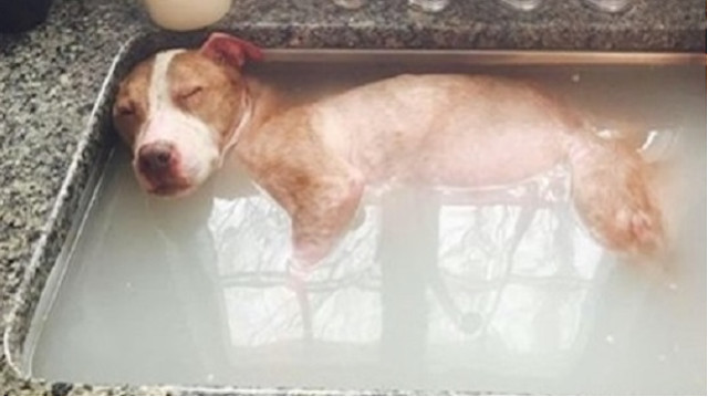 Rudy’s story, although marked by hardshi...