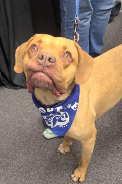 As she continues to win over everyone at...