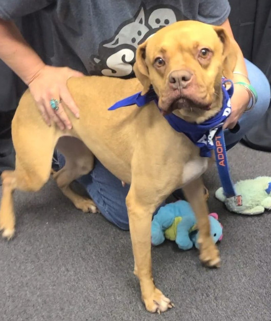 Extra image from article