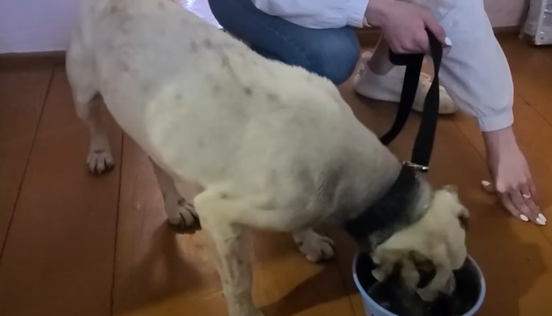 Extra image from article