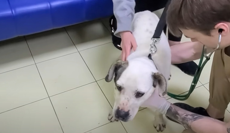 Extra image from article