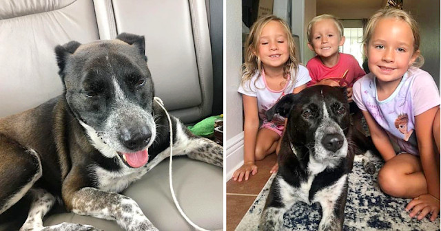 In 2018, Becca Brown and her husband, an...