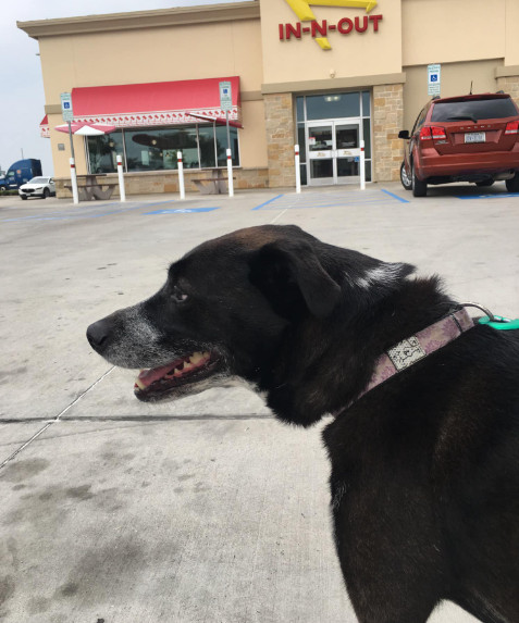 Initially, Piper appeared a bit reserved...