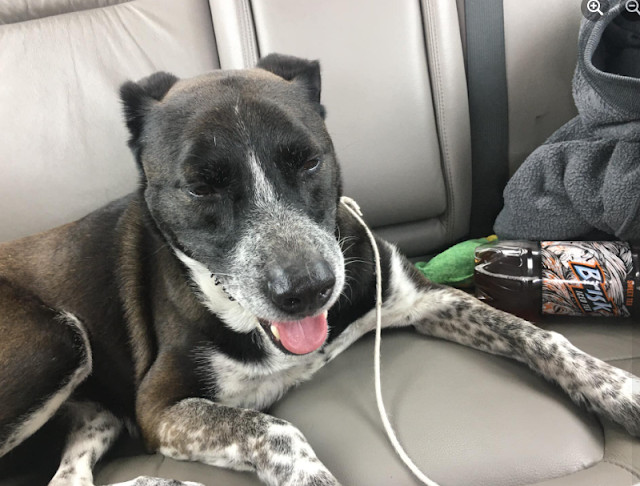 Extra image from article