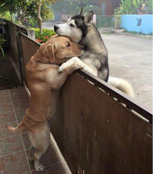 This remarkable bond between Messy and A...