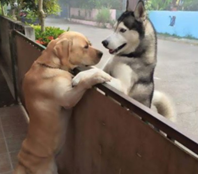 Messy and Audi’s growing bond is a perfe...