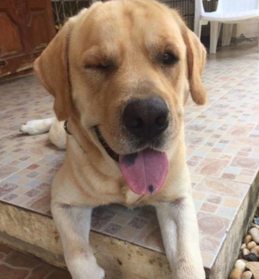 Extra image from article