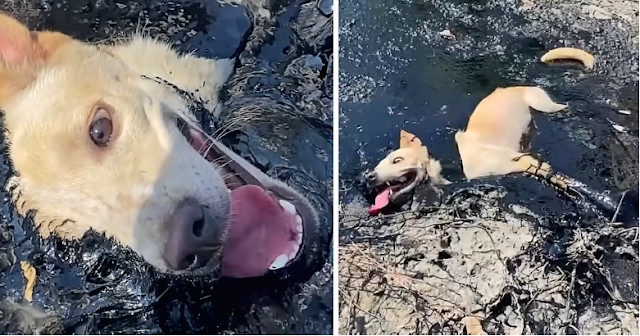 This incident highlights the threats fac...