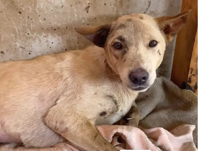 Extra image from article