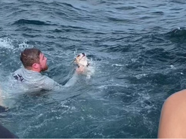 Extra image from article