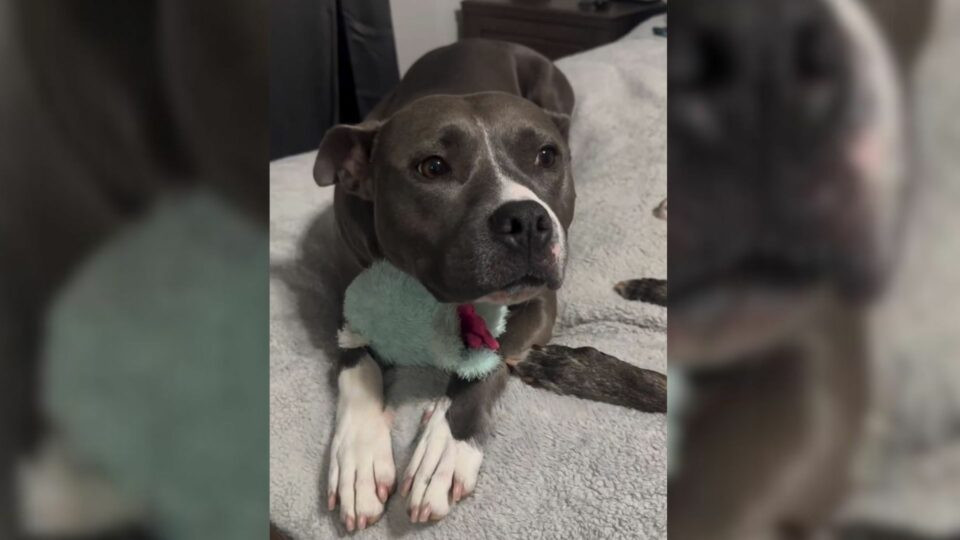 Upon discovering Shelly's impending fate...