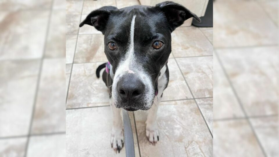 Her fortunes turned thanks to the dedica...