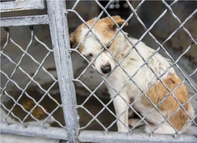 They spent hours together in simple comp...