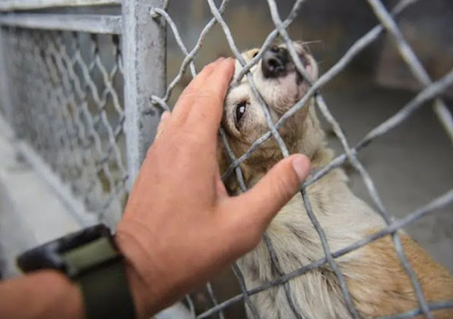 Her ongoing adventures, shared by her ne...