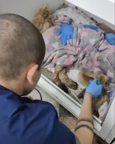 Kizyl's journey from the edge of death t...