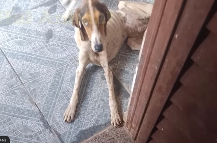 Extra image from article