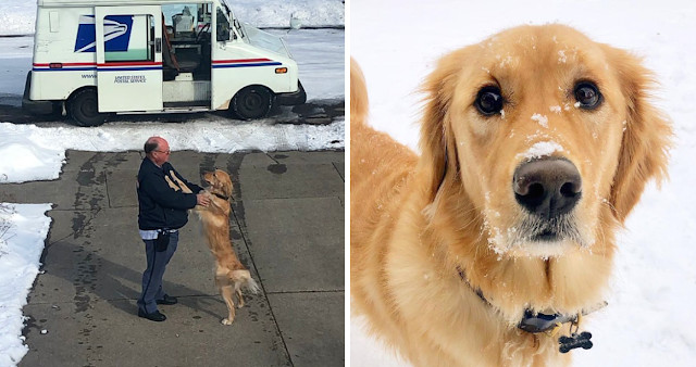 Every day since their first meeting, Moo...