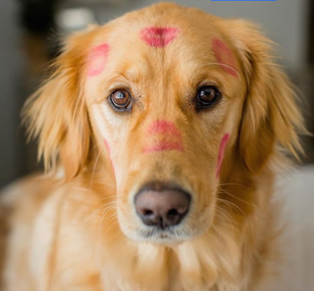 As this delightful pair continues to bri...