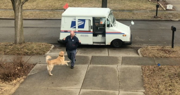 Extra image from article