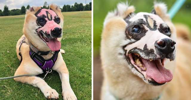 During this critical time, Taka met Crys...