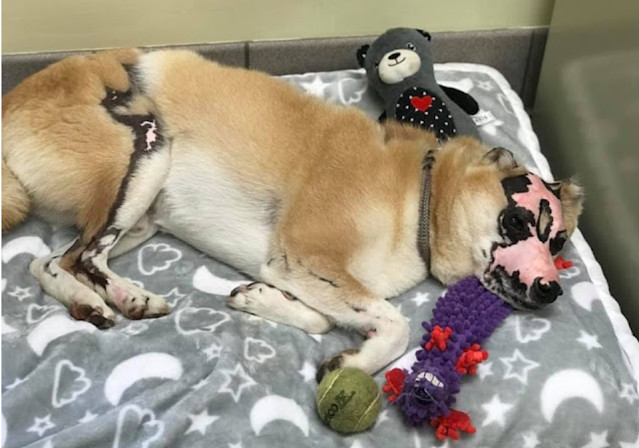 Recognizing Taka's ability to comfort ot...