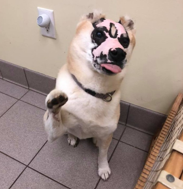 Crystal often reflects on the mutual tra...