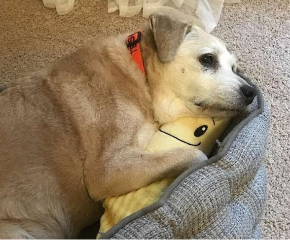 Extra image from article