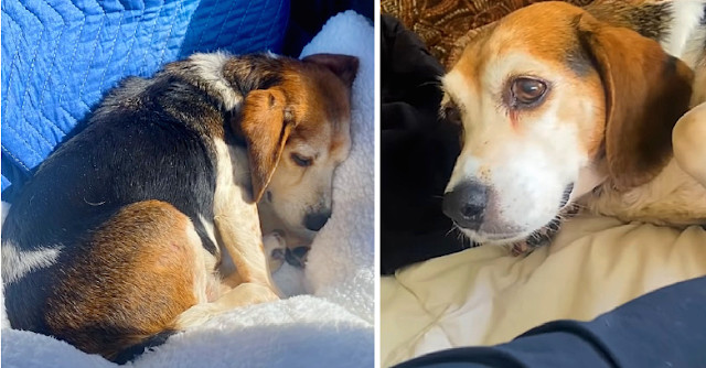 Taylor and her boyfriend came across Mab...