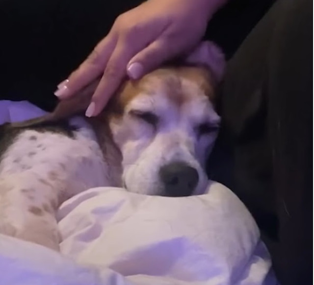 Extra image from article