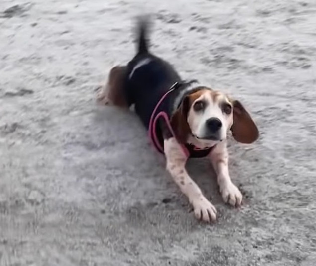 Extra image from article