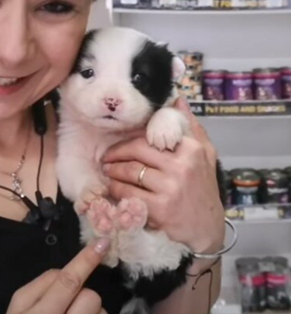 Extra image from article