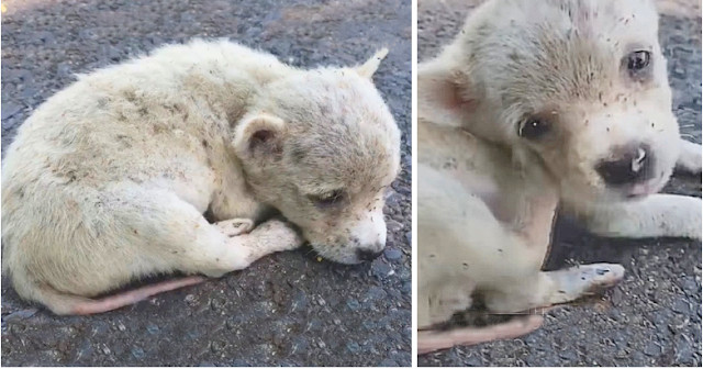 A caring rescue worker in the area soon ...