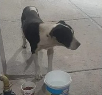 Thanks to Abigail's unwavering dedicatio...