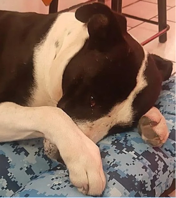 Extra image from article