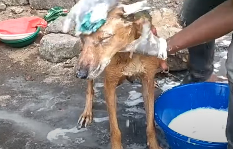 This touching scene highlighted the prof...