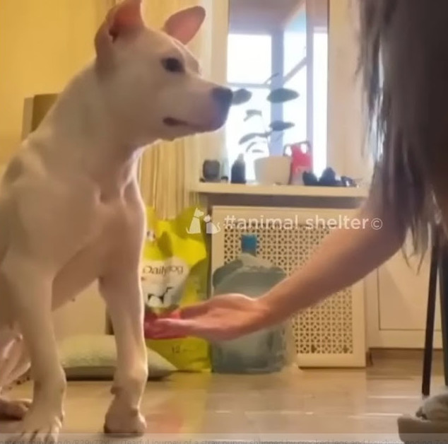 Extra image from article