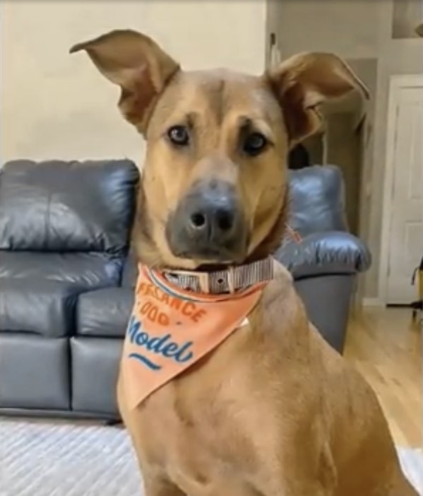 Contrary to what I expected, Joo turned ...