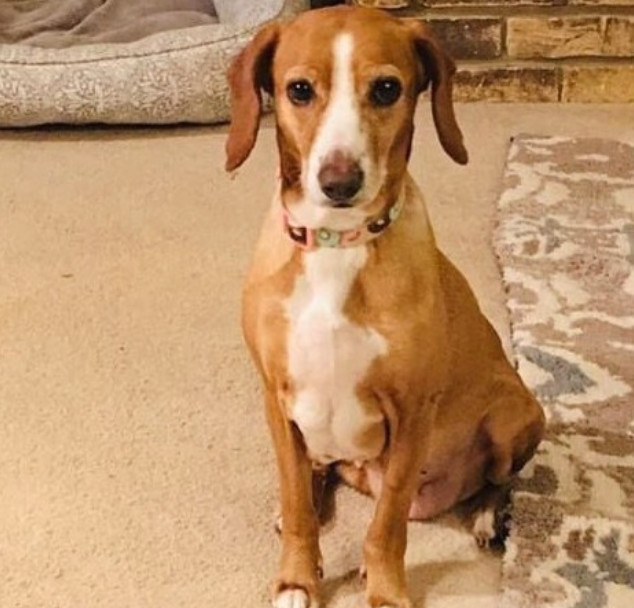 Extra image from article